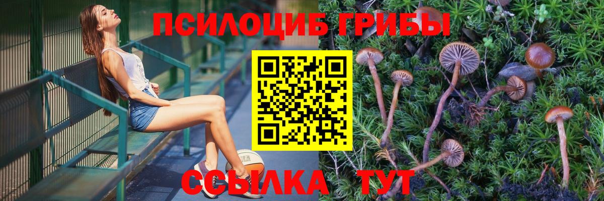АМФЕТАМИН Сочи