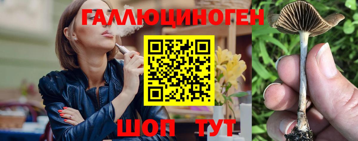 Галлюциногенные грибы Psilocybine cubensis  Вход с VPN  Сочи 